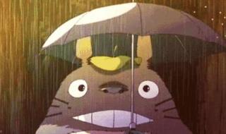 蚊子不会被雨水砸死